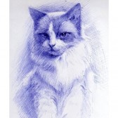 نمونه‌کار آموزش نقاشی با خودکار